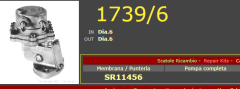 17396  Cattura